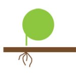 Logo Domestic Tree